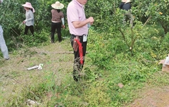 愛麗斯工具助力果園修剪培訓(xùn)