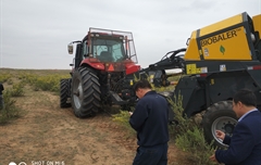 2019年，內蒙奈吉牧草有限公司，采購一臺Anderson檸條平茬機